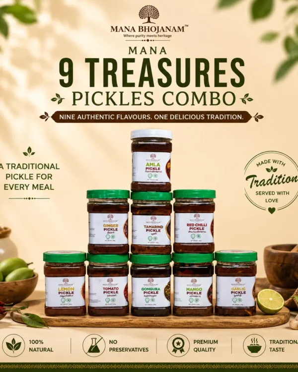 MANA 9 TREASURES PICKLES COMBO 9x250 GMS