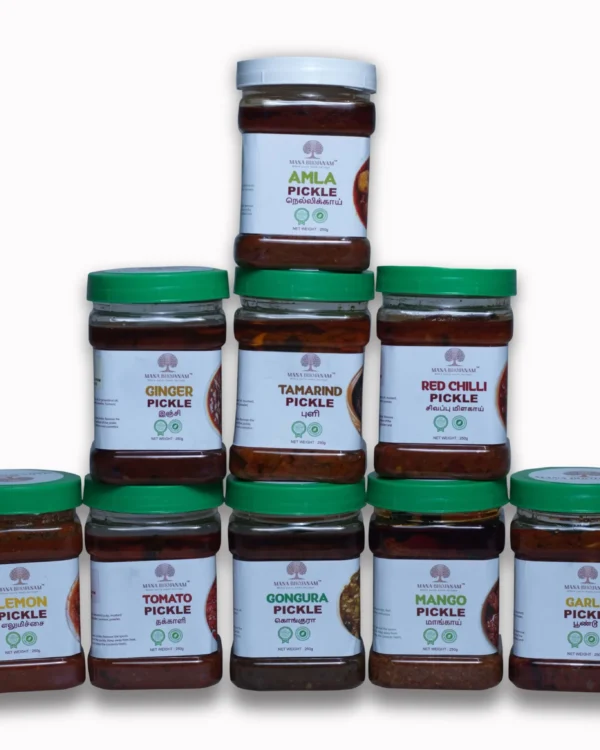 MANA 9 TREASURES PICKLES COMBO 9x250 GMS