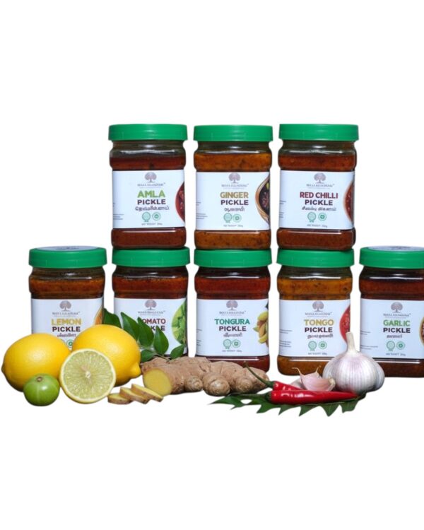 MANA 9 TREASURES PICKLES COMBO 9x250 GMS